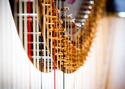 Harp Festival (14 of 54).jpg